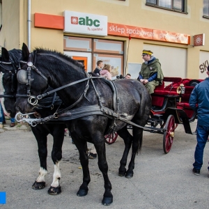 Piknik sportowy z okazji Narodowego Święta Niepodległości