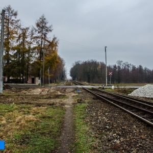 Przejazd kolejowego w Krzycku Wielkim będzie zamknięty